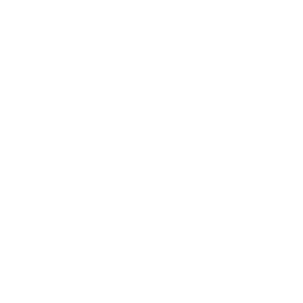 Blauer Tactical Systems Logo